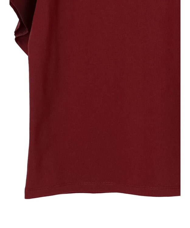 Green Parks フレアスリーブドッキングプルオーバー Bordeaux