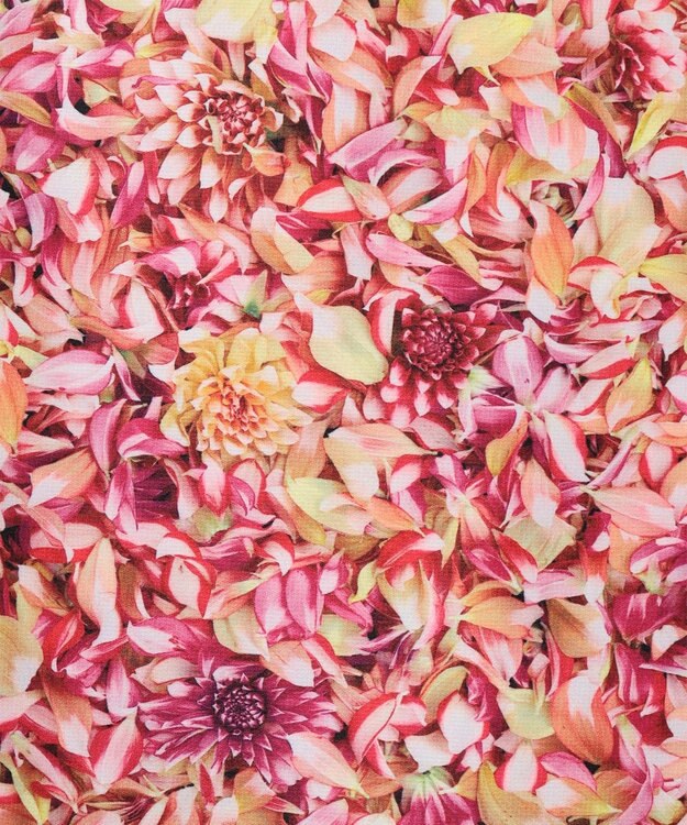 23区GOLF 【WOMEN】23区GOLF×PLANTICA 総柄スカート ピンク系5