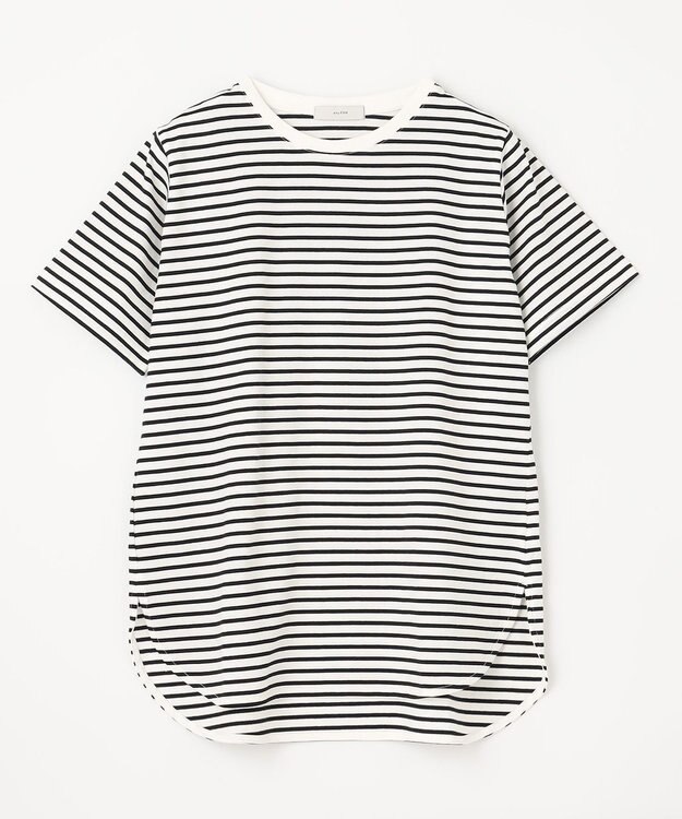 ANY 半袖テールＴシャツ ボーダー