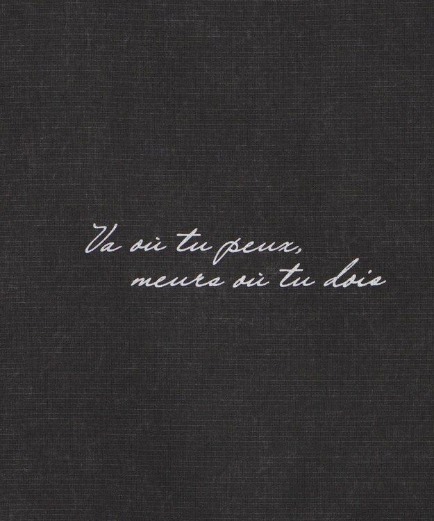 WEGO 【ユニセックス着用ITEM/吸収速乾】ピグメントDRYシャツ グレーその他