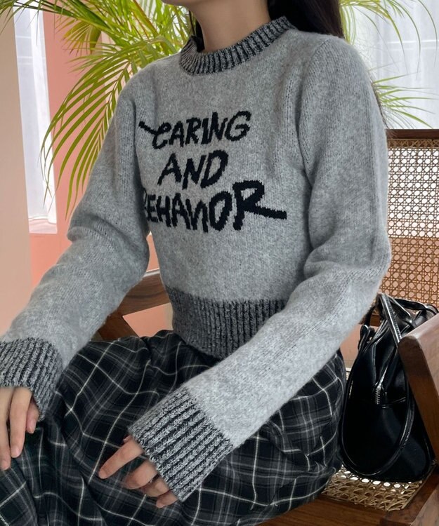 WEGO フラッフィーグラフィックちびニット 杢グレー