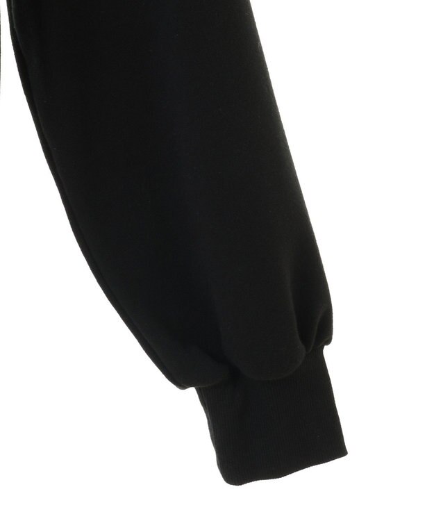 Green Parks ■ＷＩＣＫＥＤ　グラフィックショートスウェット Black