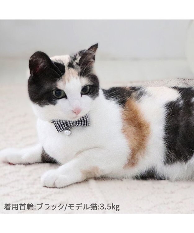 PET PARADISE ペットパラダイス 猫 首輪 ギンガムチェック 《ブラック》 小サイズ/中サイズ ブラック