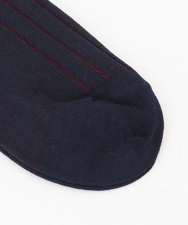 J.PRESS MEN 【定番】ハイゲージワイドストライプ リブソックス ネイビー系