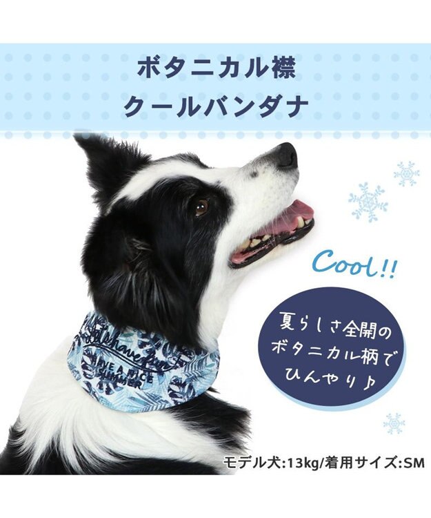 PET PARADISE クールネック バンダナ《 ボタニカル/ しろくま/シフォン襟》 保冷剤付き 【中型犬】【大型犬】 ボタニカル
