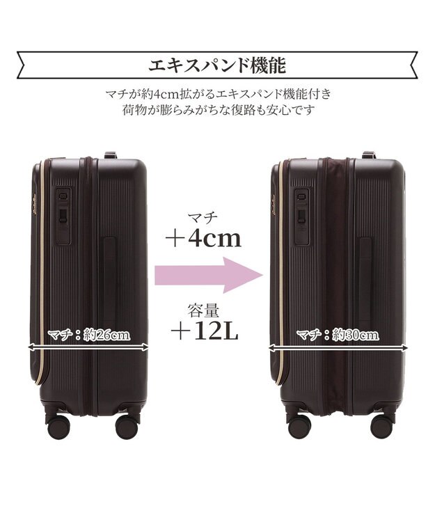 ACE BAGS & LUGGAGE Jewelna Rose エルダートローリー ボトルホルダー付 51~63L 05402 ジュエルナローズ cs ブラウン