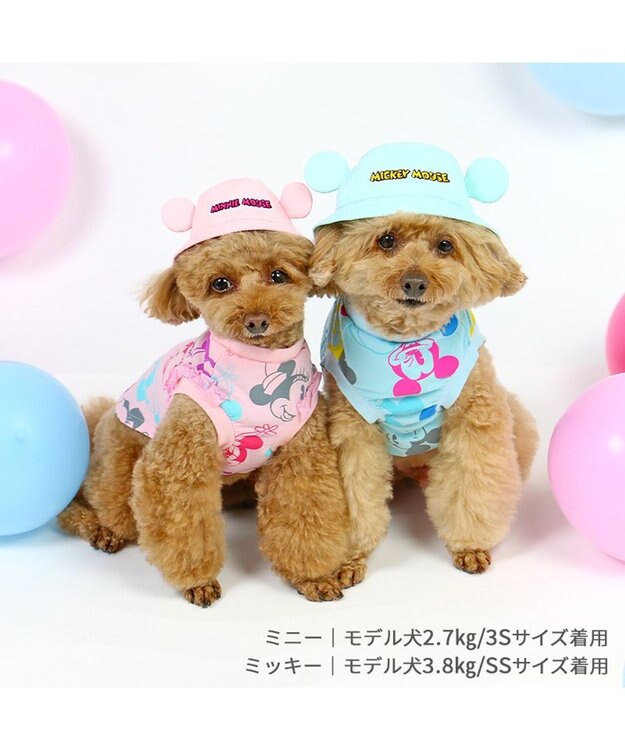 PET PARADISE ディズニー ミニーマウス バケットハット付き Tシャツ 小型犬 ピンク