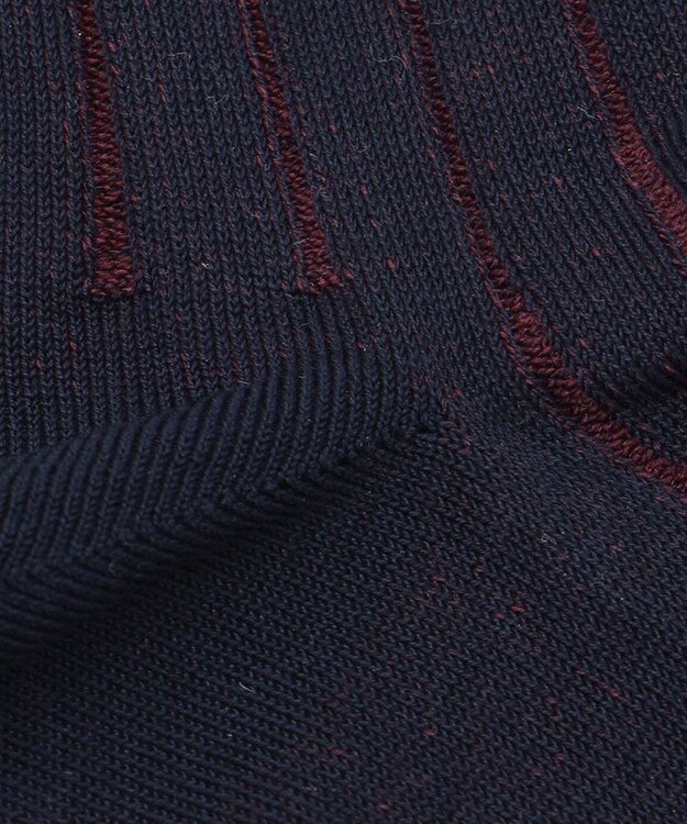 J.PRESS MEN 【定番】ハイゲージワイドストライプ リブソックス ネイビー系