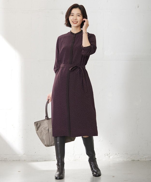 J.PRESS LADIES 【洗える】フェミニッシュパウダー dots ワンピース ワイン系5