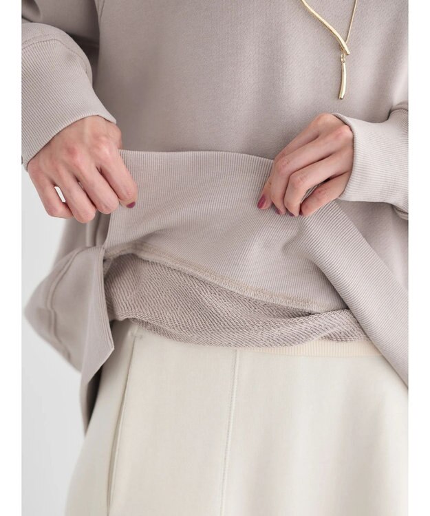 AMERICAN HOLIC バックＶラグランスウェット Gray Beige