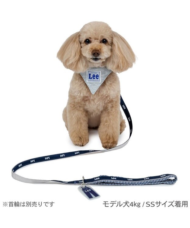 PET PARADISE Lee リフレクターリード ４Ｓ～３Ｓ ネイビー