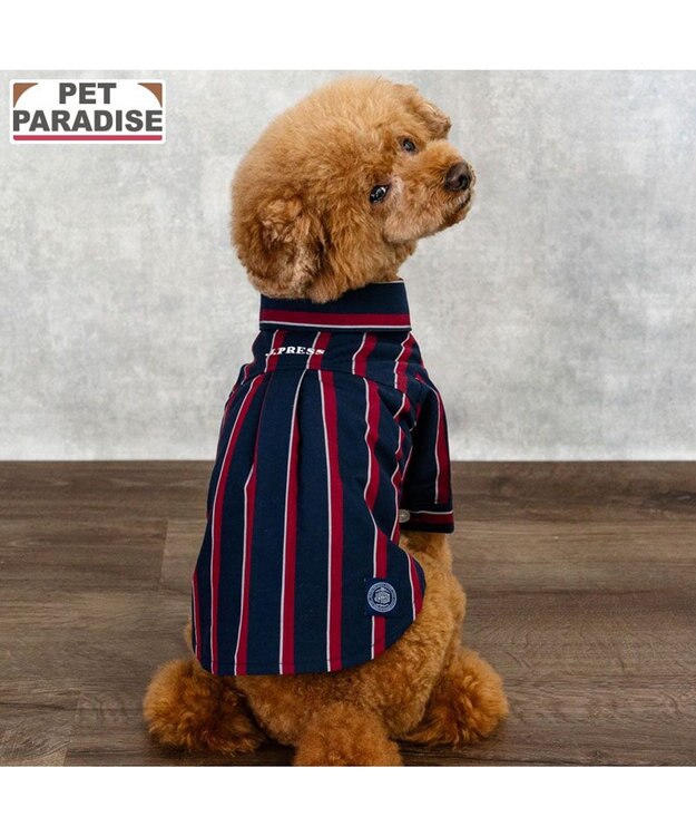 PET PARADISE J.PRESS レジメンタル シャツ 小型犬 ネイビー×レッド