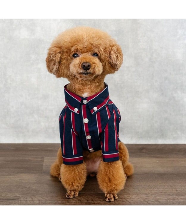 PET PARADISE J.PRESS レジメンタル シャツ 小型犬 ネイビー×レッド
