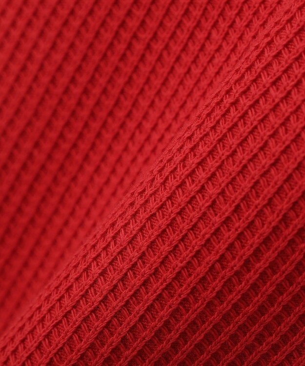 AMERICAN HOLIC 【RUSSELL】ワッフルヘンリーTシャツ Red