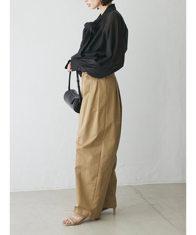 Green Parks AnriettMusee シアーボウタイブラウス Black