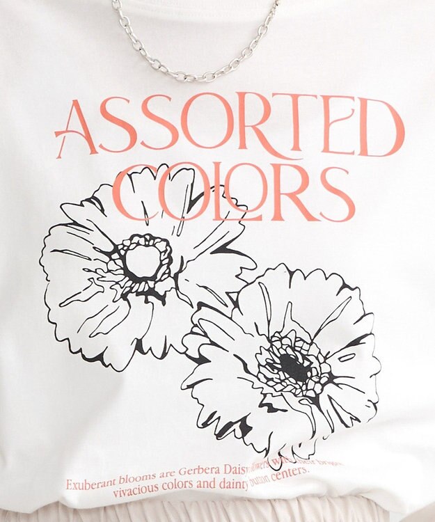 earth music&ecology アソートグラフィックロンＴ A