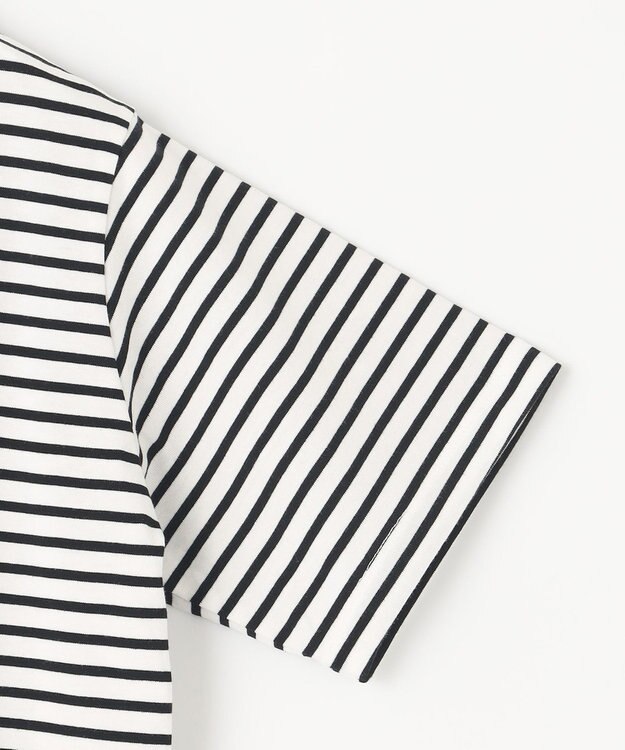 ANY 半袖テールＴシャツ ボーダー