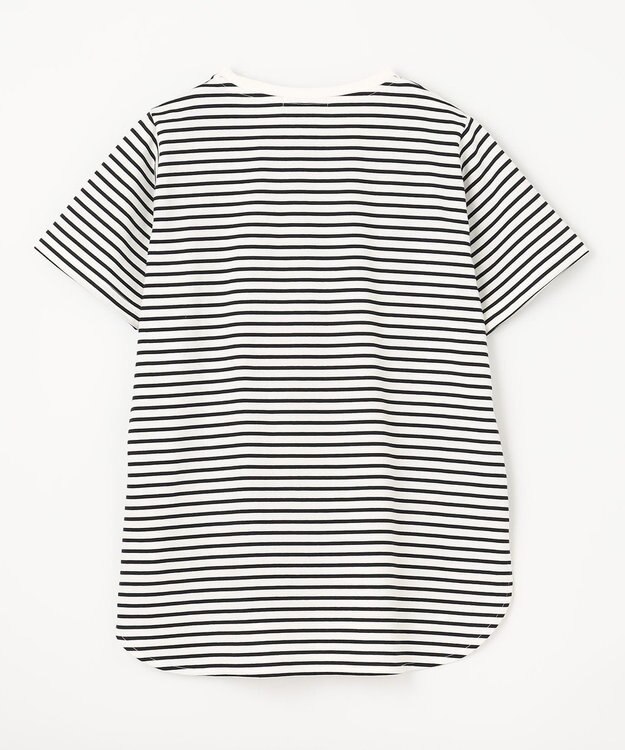 ANY 半袖テールＴシャツ ボーダー