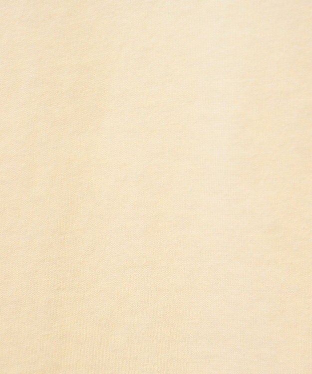 Green Parks ＳＴＡＲ　ＷＡＲＳ／グラフィック半袖ＢＩＧＴＥＥ Cream