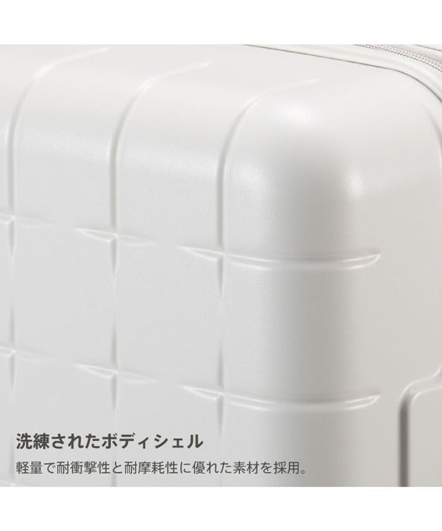 ACE BAGS & LUGGAGE Proteca 360G4 スーツケース 日本製 53L 02422 プロテカ ウォームグレー