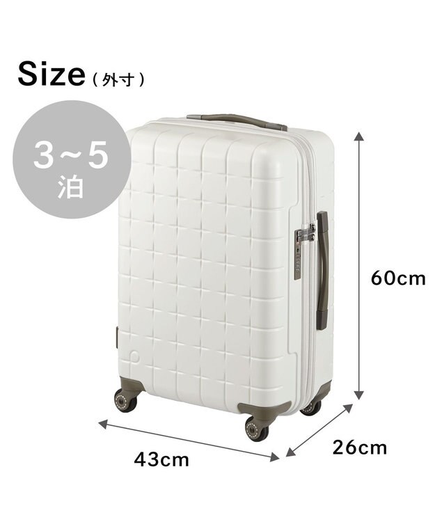 ACE BAGS & LUGGAGE Proteca 360G4 スーツケース 日本製 53L 02422 プロテカ ウォームグレー