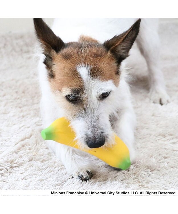 PET PARADISE ミニオン バナナ ラテックス トイ 黄
