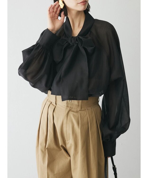 Green Parks AnriettMusee シアーボウタイブラウス Black