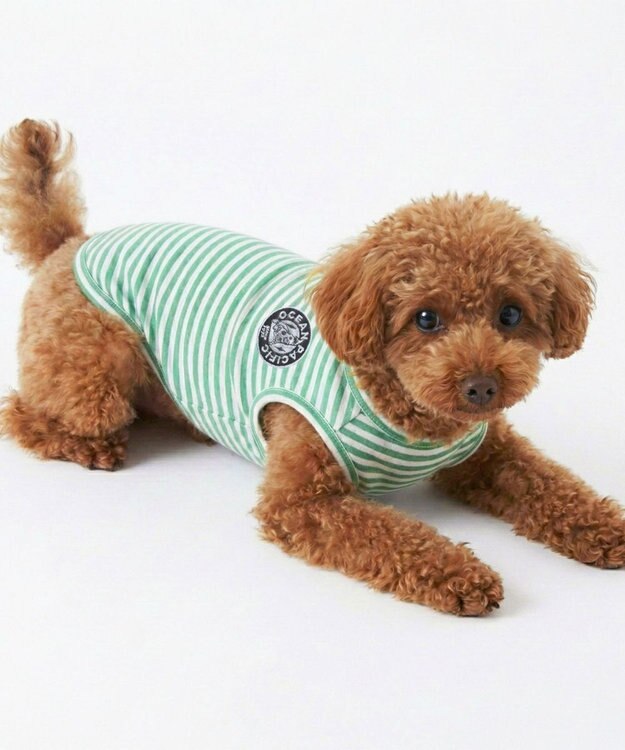 OP／FILA 【Ocean Pacific】ボーダードッグウェア ペットウェア グリーン