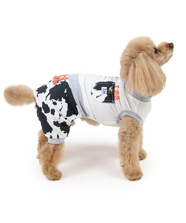 PET PARADISE Ｌｅｅ エコメイド 天竺 ロンパース 《牛柄》 小型犬 牛柄