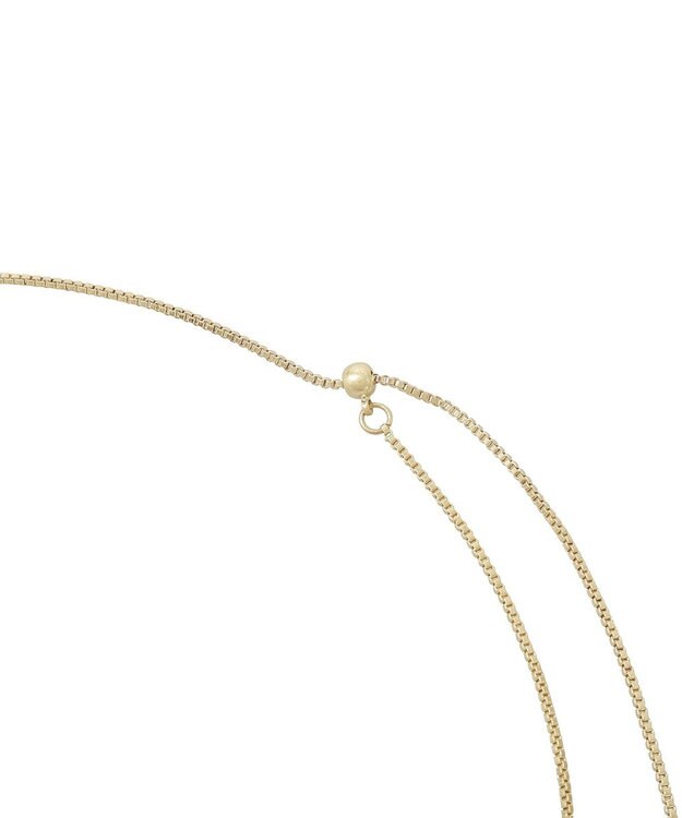 AMERICAN HOLIC ニュアンスリングスライドネックレス Gold