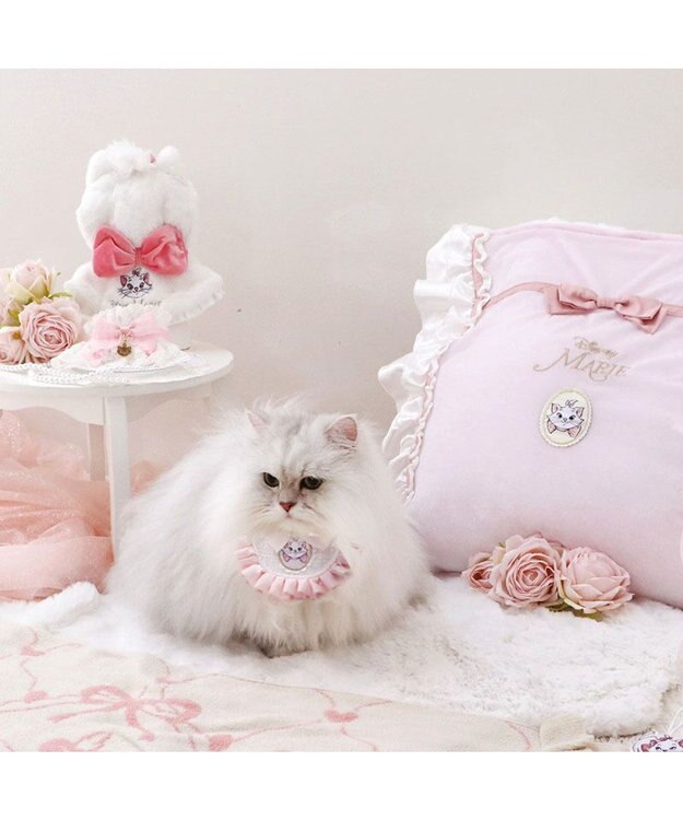 PET PARADISE ディズニー マリー 猫首輪  スタイ 小/中 ホワイト