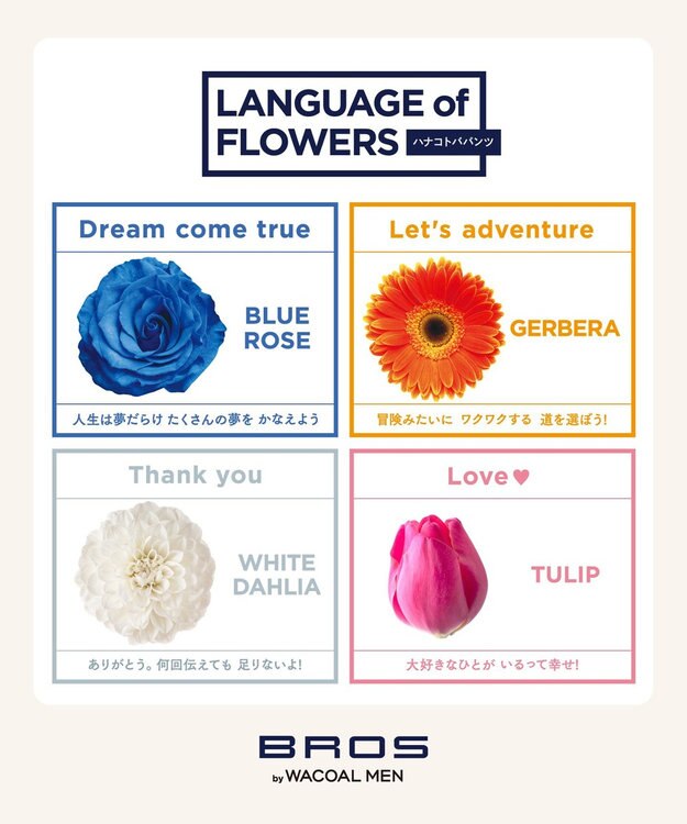 WACOAL MEN ブリーフ フロント立体設計 適度なフィット感（フロント部分） 前閉じ GF2220 /ブロス バイ ワコールメン アイボリー