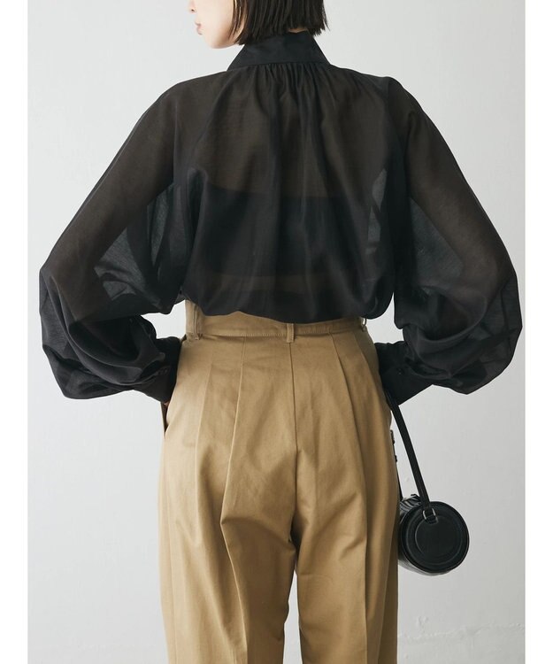 Green Parks AnriettMusee シアーボウタイブラウス Black