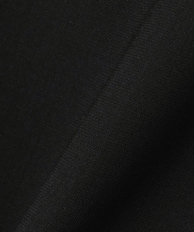 J.PRESS LADIES 【リクルート対応】テフロンカームスキン スカート ブラック系