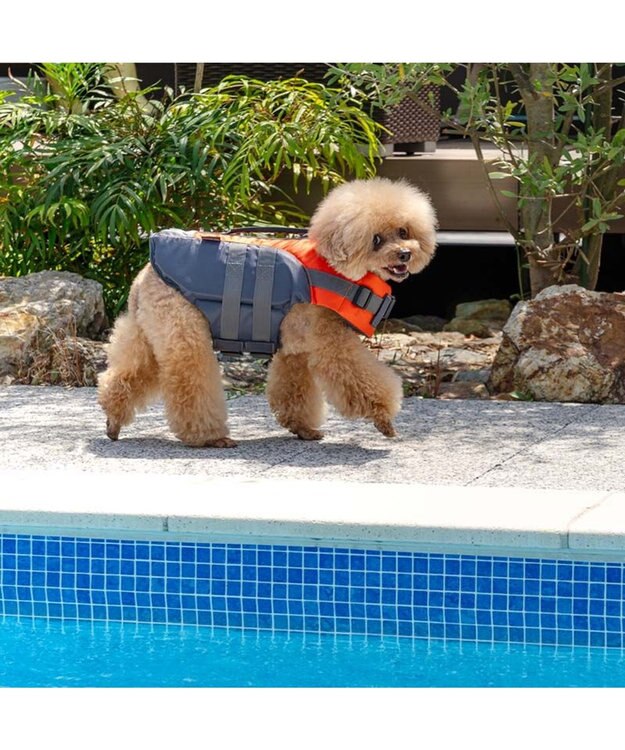 PET PARADISE ペットパラダイス ライフベスト【ＳＳ～Ｓ】 《オレンジ》 オレンジ