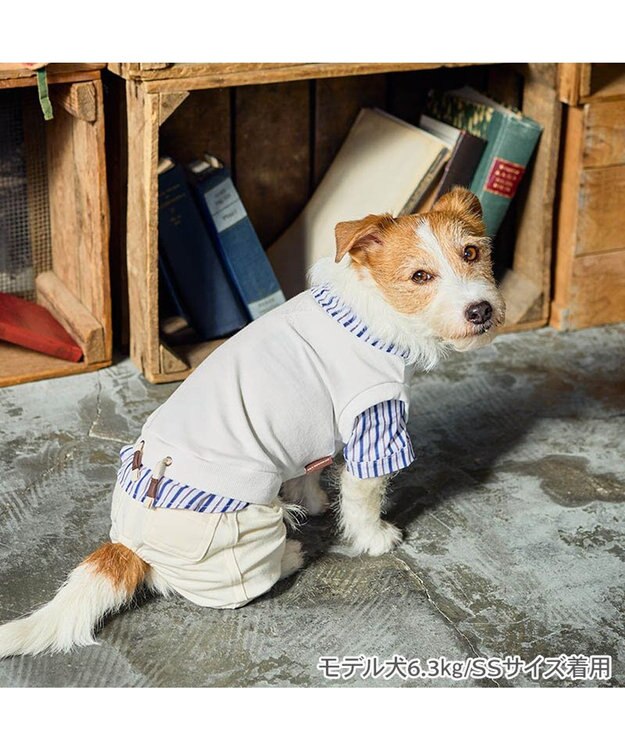 PET PARADISE ペットパラダイス ベスト パンツつなぎ 《ホワイト》 小型犬 ホワイト×ホワイト