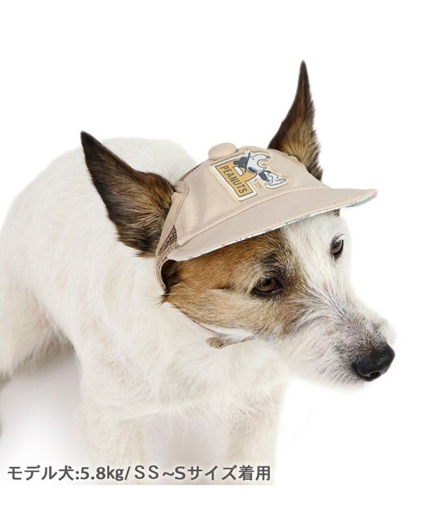 PET PARADISE スヌーピー キャップ 《ビーグルスカウト》 小型犬 ビーグルスカウト