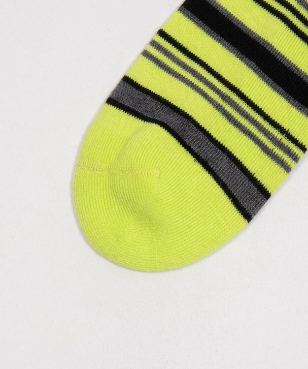 WEGO マルチボーダーソックス（R）　 ライム
