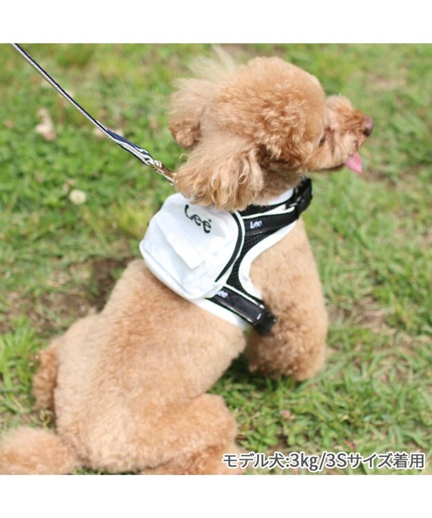 PET PARADISE Lee  ポケットハーネス ３Ｓ 小型犬 -