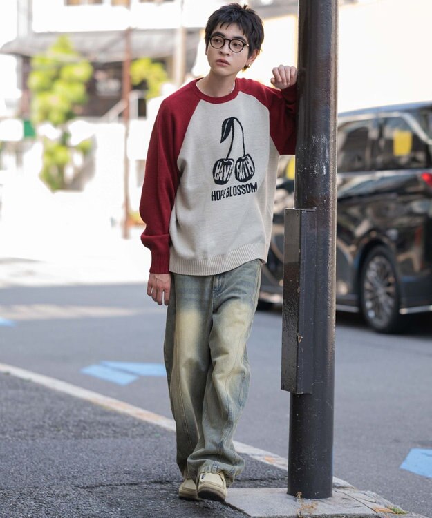 WEGO 【ユニセックス着用ITEM/SMLサイズ展開】ジャガードグラフィックプルオーバー 柄2