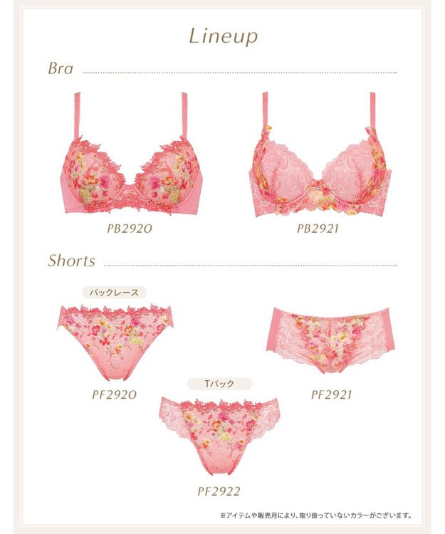 Wing ブラジャー Wing Lesiage 脇すっきりの着やせシルエット 背中の段差・脇のハミ肉軽減 【2920シリーズ】 Gカップまで対応 大きいサイズ ブラ PB2921 ウイング／ワコール オレンジ