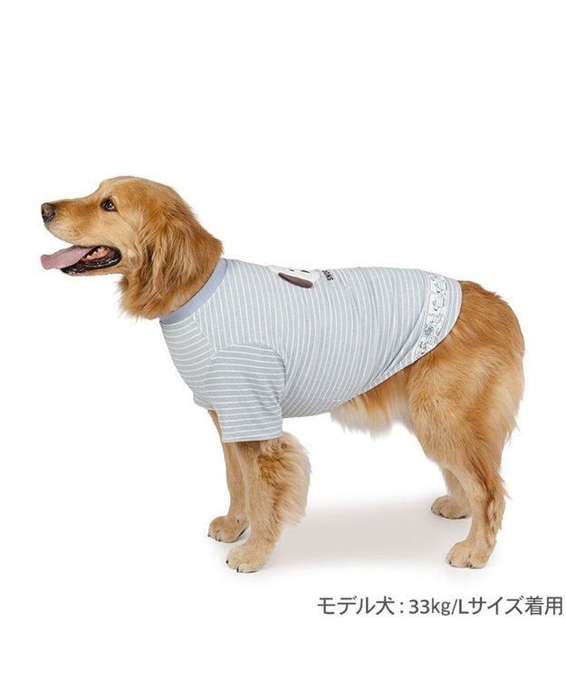 PET PARADISE スヌーピー サーモキープ お顔コミックTシャツ 中型犬 大型犬 ライトインディゴブルー