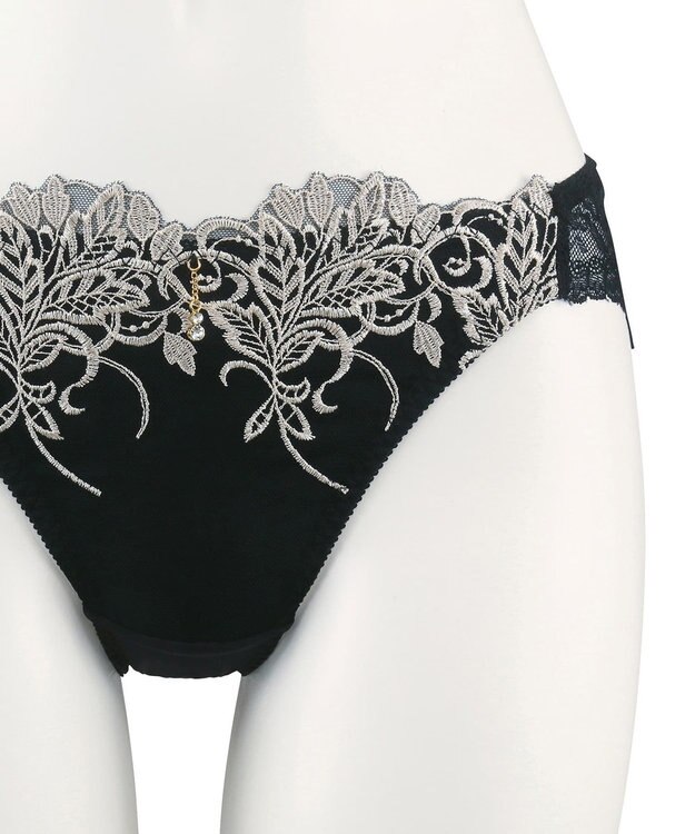 San-ai Resort（三愛水着楽園） エレガントコレクションPremium2312ノーマルショーツ 【northerly】 ブラック