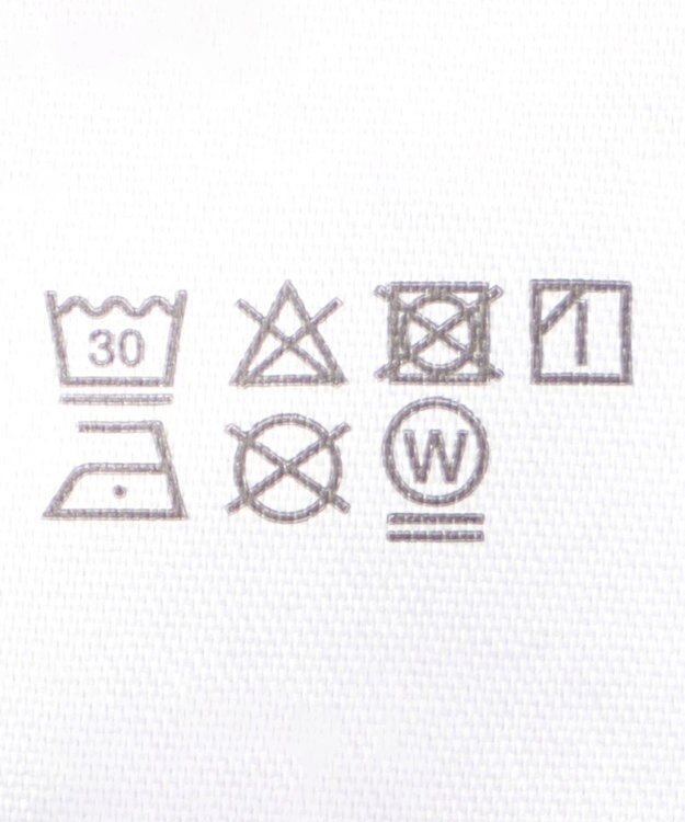 WEGO 【ユニセックス着用ITEM/SMLサイズ展開】グラフィックロゴプルパーカー グレー