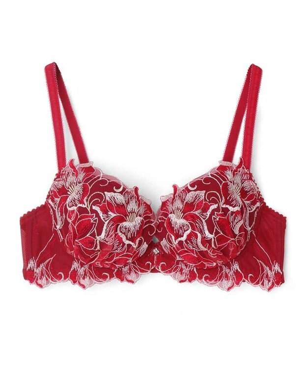 San-ai Resort（三愛水着楽園） 【エレガントコレクション2311】単品ブラHIカップ  【northerly】 レッド