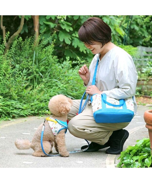 PET PARADISE ディズニー ドナルドダック 90周年 お散歩バッグ 《パーティ柄》 パーティ柄