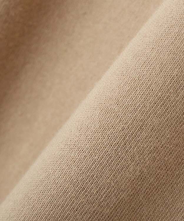 AMERICAN HOLIC COASTLINEA ロゴTシャツ Brown