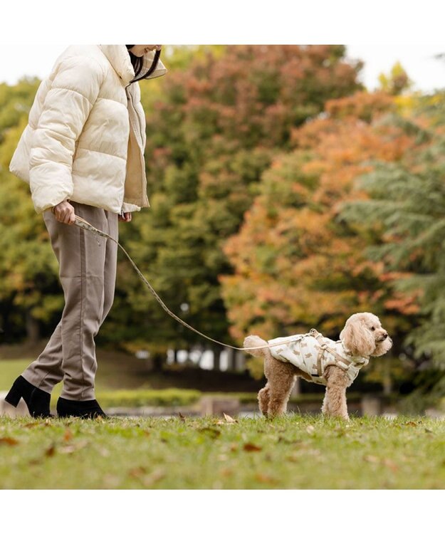 PET PARADISE ペットパラダイス くまちゃん アウターハーネス 小型犬 オフホワイト