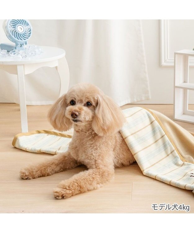 PET PARADISE ペットパラダイス クール ブランケット 《ナチュラル柄》 ベージュ