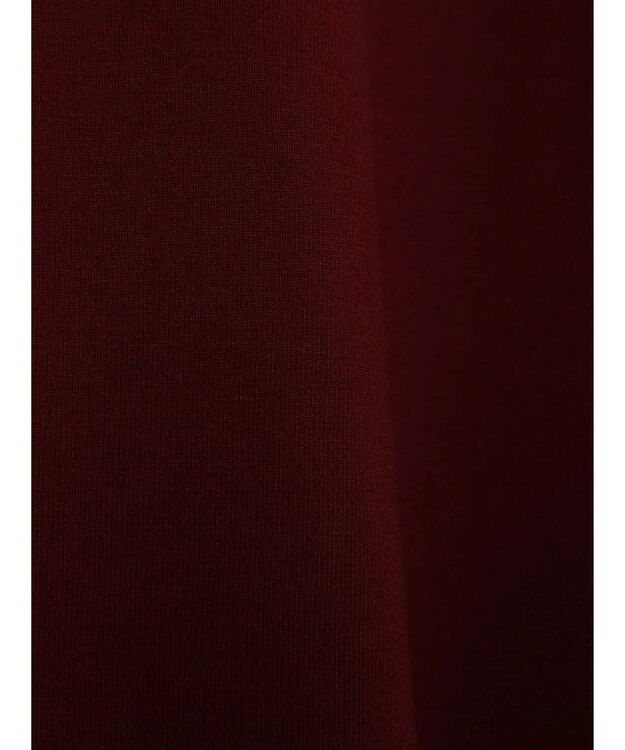 Green Parks フレアスリーブドッキングプルオーバー Bordeaux